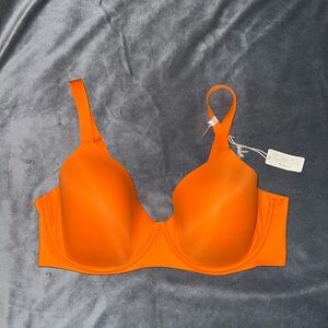 Aerie Smoothiez Bra 38DD NWT